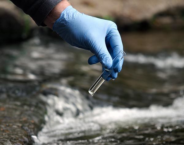 Gloved hand holding a test tube with some water from a stream in it. They are holding the tube over a stream.
